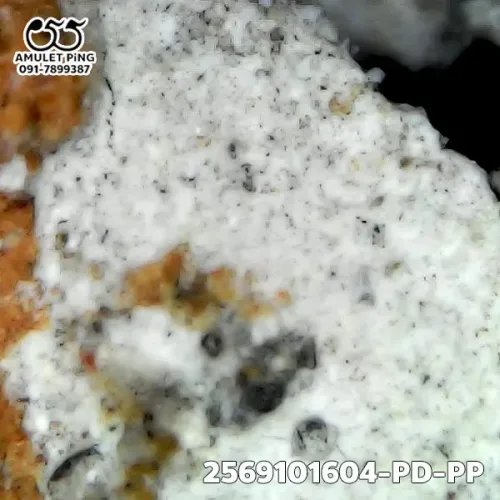 1000 倍放大 — 龙婆班佛牌 骑鸡 蓬尾 泥料 瓦邦诺空寺 大城府 佛历 2450