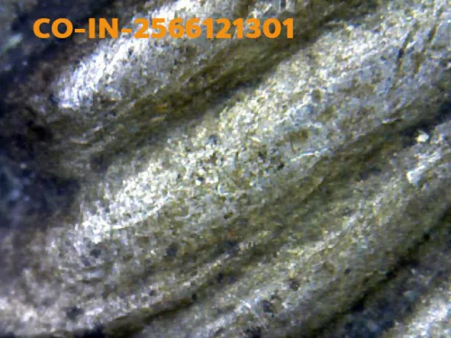1000 倍放大 — 龍婆貴銅牌 首期 黃銅（Thong Fa Bat） 科西達蘭寺 猜納府 佛曆 2504