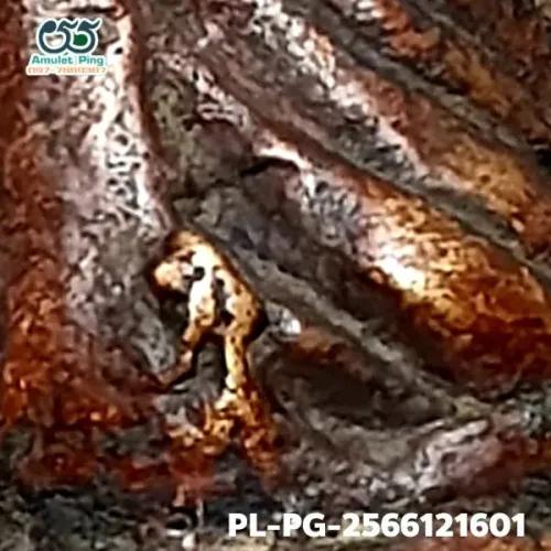 100 倍放大 — 龙婆银佛牌 Niyom 四衣摆 因陀罗眼 合金 瓦邦干寺 披集府 佛历 2462
