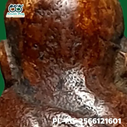 100 倍放大 — 龙婆银佛牌 Niyom 四衣摆 因陀罗眼 合金 瓦邦干寺 披集府 佛历 2462
