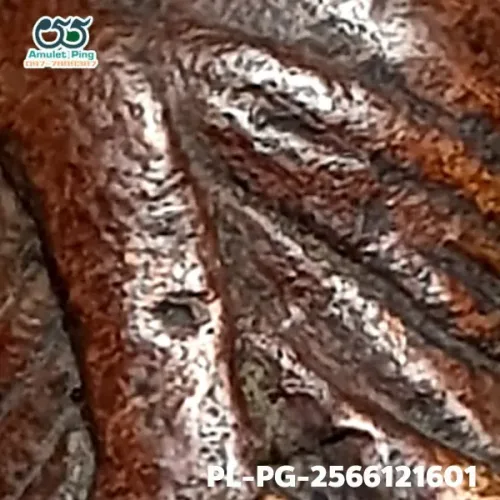 100 倍放大 — 龙婆银佛牌 Niyom 四衣摆 因陀罗眼 合金 瓦邦干寺 披集府 佛历 2462