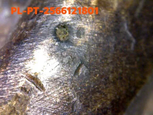 1000× magnification — Luang Phor Thuad statuette, Yai (large) iron-shaped back