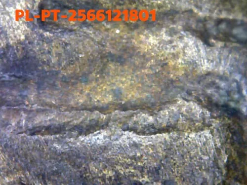 1000× magnification — Luang Phor Thuad statuette, Yai (large) iron-shaped back