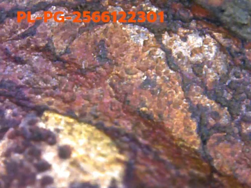 1000 倍放大 — 龙婆银佛牌 Niyom 三衣摆 合金 瓦邦干寺 披集府 佛历 2462