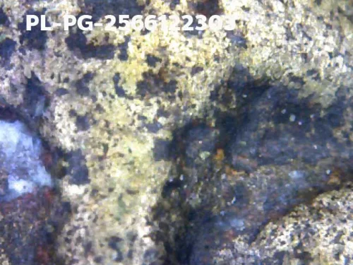 1000 倍放大 — 龙婆银佛牌 基打 四衣摆 合金 瓦邦干寺 披集府 佛历 2462