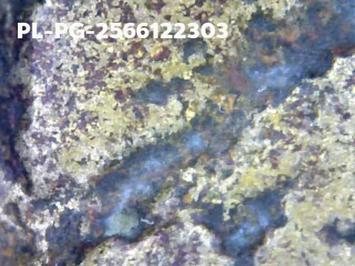 1000 倍放大 — 龙婆银佛牌 基打 四衣摆 合金 瓦邦干寺 披集府 佛历 2462