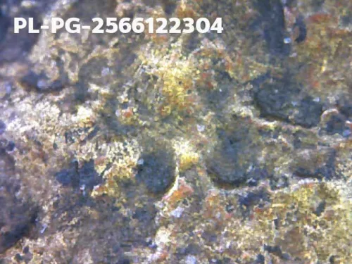 1000 倍放大 — 龙婆银佛牌 基打 四衣摆 合金 瓦邦干寺 披集府 佛历 2462