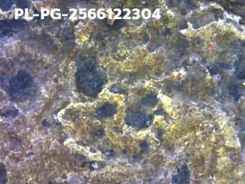 1000 倍放大 — 龙婆银佛牌 基打 四衣摆 合金 瓦邦干寺 披集府 佛历 2462