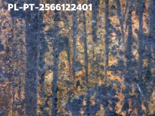 1000 倍放大 — 龙婆托佛牌 大模 熨斗背 合金 瓦昌海寺 北大年府 佛历 2505