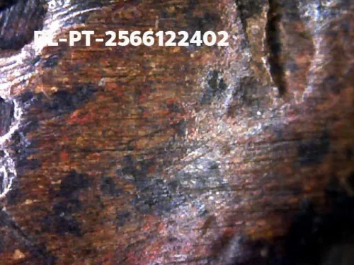 1000 倍放大 — 龙婆托佛牌 大模 熨斗背 合金 瓦昌海寺 北大年府 佛历 2505