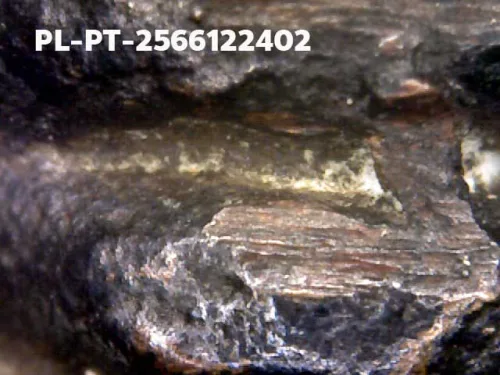 1000 倍放大 — 龙婆托佛牌 大模 熨斗背 合金 瓦昌海寺 北大年府 佛历 2505