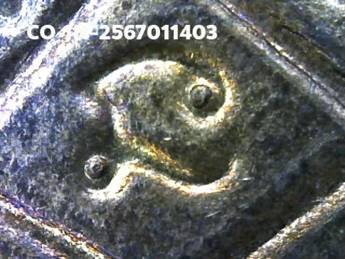 100× magnification — Luang Pu Tim amulet, Sema, 8th cycle (age 96), Copper, Wat