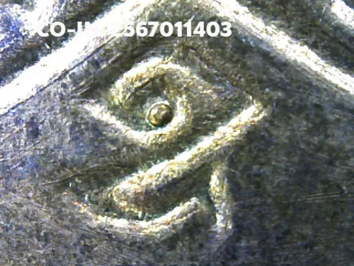100× magnification — Luang Pu Tim amulet, Sema, 8th cycle (age 96), Copper, Wat