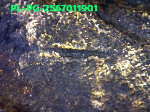 1000 倍放大 — 龍婆銀佛牌 基打 四衣襬 合金 瓦邦干寺 披集府 佛曆 2462