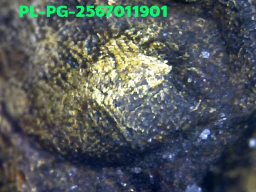 1000 倍放大 — 龍婆銀佛牌 基打 四衣襬 合金 瓦邦干寺 披集府 佛曆 2462