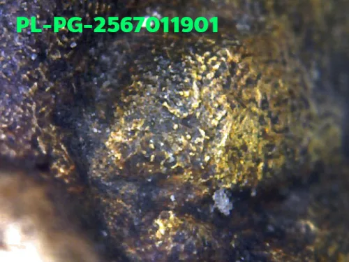 1000 倍放大 — 龍婆銀佛牌 基打 四衣襬 合金 瓦邦干寺 披集府 佛曆 2462