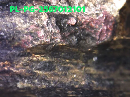 1000 倍放大 — 龙婆银佛牌 基打 四衣摆 合金 瓦邦干寺 披集府 佛历 2462