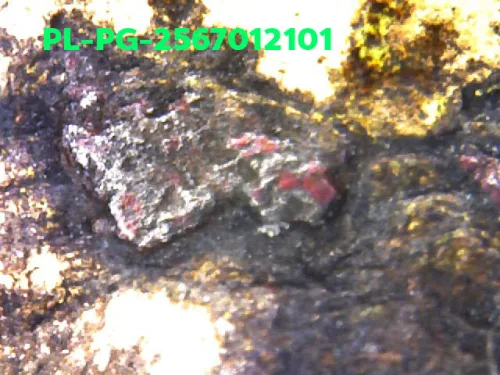 1000 倍放大 — 龙婆银佛牌 基打 四衣摆 合金 瓦邦干寺 披集府 佛历 2462