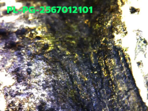 1000 倍放大 — 龙婆银佛牌 基打 四衣摆 合金 瓦邦干寺 披集府 佛历 2462