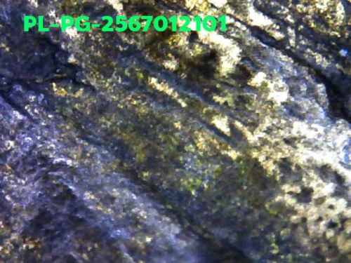 1000 倍放大 — 龙婆银佛牌 基打 四衣摆 合金 瓦邦干寺 披集府 佛历 2462