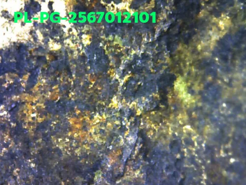 1000 倍放大 — 龙婆银佛牌 基打 四衣摆 合金 瓦邦干寺 披集府 佛历 2462