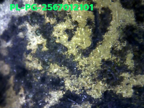 1000 倍放大 — 龙婆银佛牌 基打 四衣摆 合金 瓦邦干寺 披集府 佛历 2462