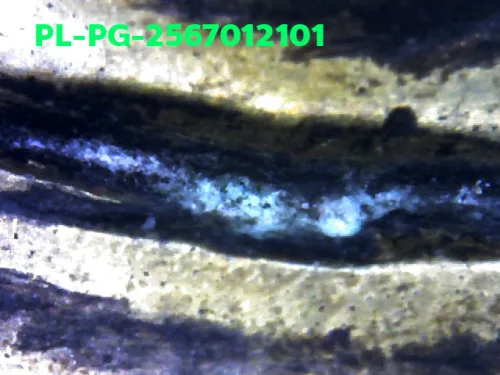 1000 倍放大 — 龙婆银佛牌 基打 四衣摆 合金 瓦邦干寺 披集府 佛历 2462