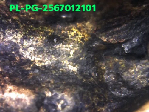 1000 倍放大 — 龙婆银佛牌 基打 四衣摆 合金 瓦邦干寺 披集府 佛历 2462