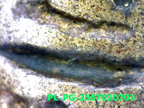 1000× magnification — Luang Phor Ngern statuette, Niyom 4-Chai, Indra-eye, Mixed