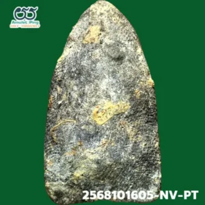 พระเนื้อว่าน หลวงพ่อทวด  พิมพ์เนื้อตะกั่ว หลังไม่มีแร่ วัดช้างให้ ปัตตานี ปี 2497