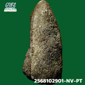 พระเนื้อว่าน พิมพ์ฉลูด หลวงพ่อทวด  หลังมีแร่กากยายักษ์ วัดช้างให้ ปัตตานี ปี 2497 หลังเอียงขวา