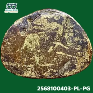 รูปหล่อหลวงพ่อเงิน พิมพ์นิยม A ตาพระอินทร์ 4 ชาย พระหล่อโบราณ วัดบางคลาน พิจิตร