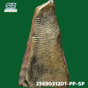 พระผงสุพรรณ พิมพ์หน้าแก่ 3 จุด เนื้อดิน กรุวัดพระศรีรัตนมหาธาตุ จังหวัดสุพรรณบุรี